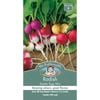 Mr Fothergill's Radish Easter Egg Mix Seeds