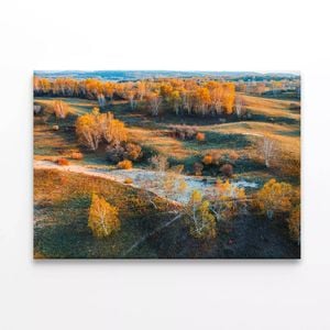 Yellow Grassland Nature  Print 100% Australian Made 75 x 50cm  (Stretched)