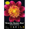 Yarra Valley Bulbs Granite Queen Bee - 1 Pack