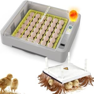 Advwin Automatic 36 Egg Incubator + Chicken Brooder Heating Plate