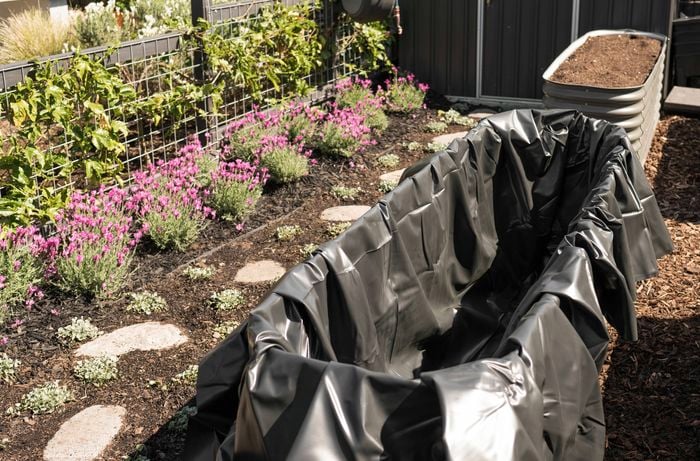 A vibrant garden scene featuring garden bed with a pond liner, surrounded by soil-filled beds ready for planting. 