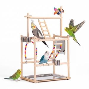 Advwin Bird Playground Natural Wood Parrot Playstand Perch Stand Bird Cage Accessories