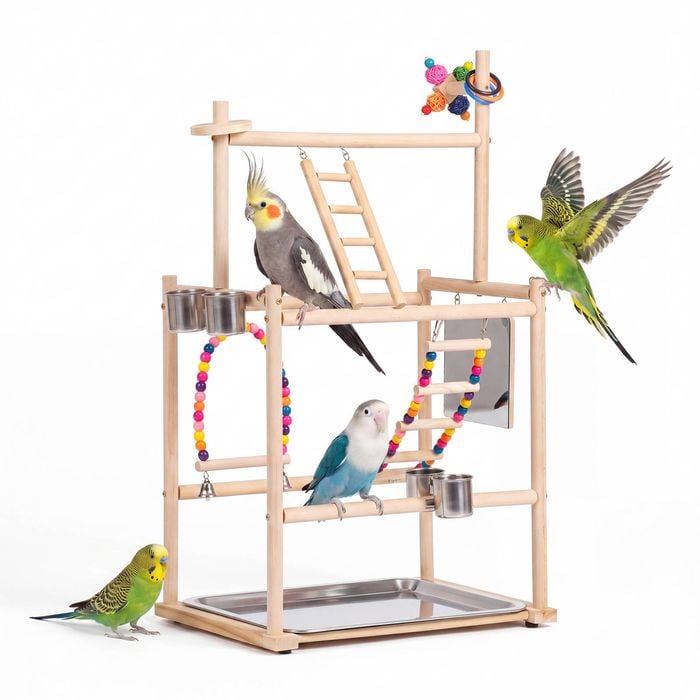 Advwin Bird Playground Natural Wood Parrot Playstand Perch Stand Bird Cage Accessories