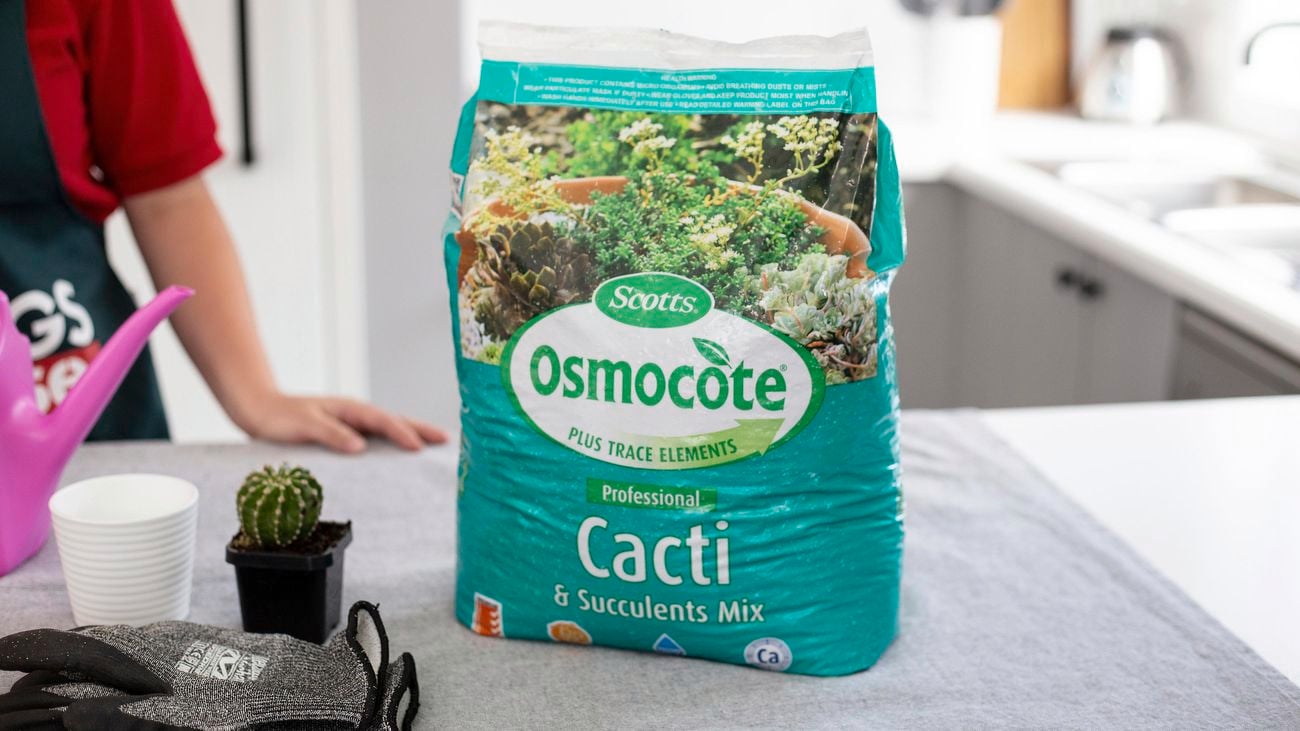 A bag of cactus potting mix on a bench.