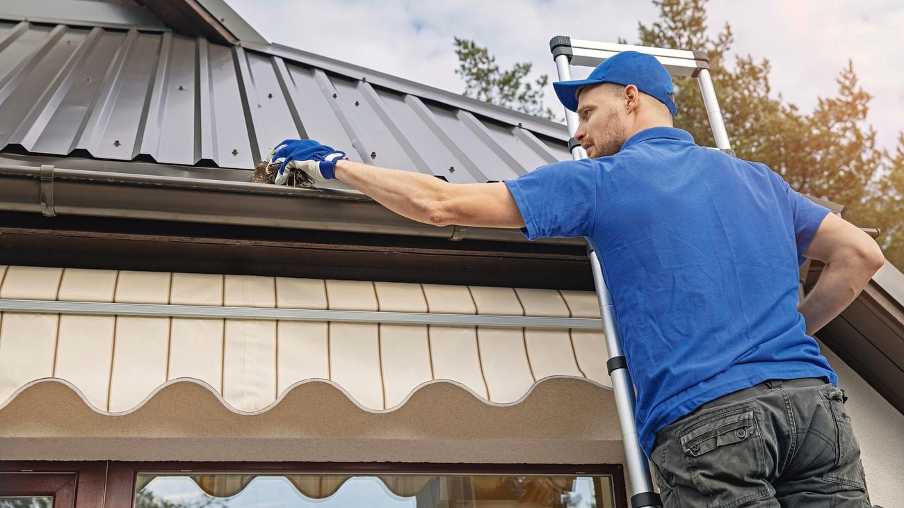 Person on a ladder wearing gloves clearing roof gutter of leaves