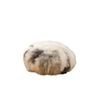 Huxford Grove The Lhasa Sheepskin Filled Ottoman Chair/footstool 60x28cm Natural