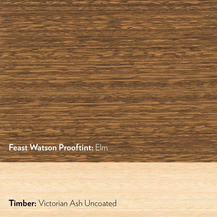 Feast Watson 250ml Prooftint Elm Interior Stain - Bunnings Australia
