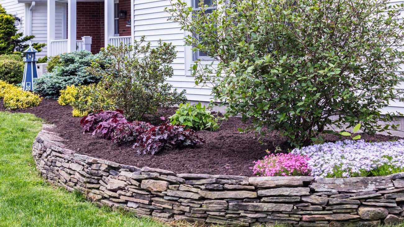 A yard with a raised garden bed made with stone walling and a variety of plants