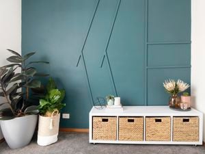 Blue feature wall with plants and a storage unit - House 3 - Medium