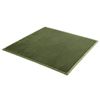 Artiss Tatami Mat Floor Mattress 3cm Thick Futon Mattresses Mellow Mat Rugs Living Room Green