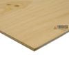 IBS Mini Panels  1200 x 1200 x 9mm Untreated CD Plywood