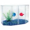 Duo 2 Litre Plastic Siamese Fighter Fish Tank by Aqua One - 10.5cm x 12.5cm x 11cm