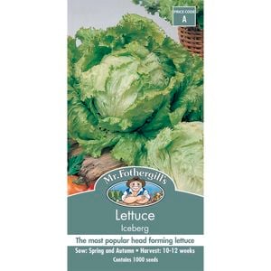 Mr Fothergill's Lettuce Iceberg Seeds