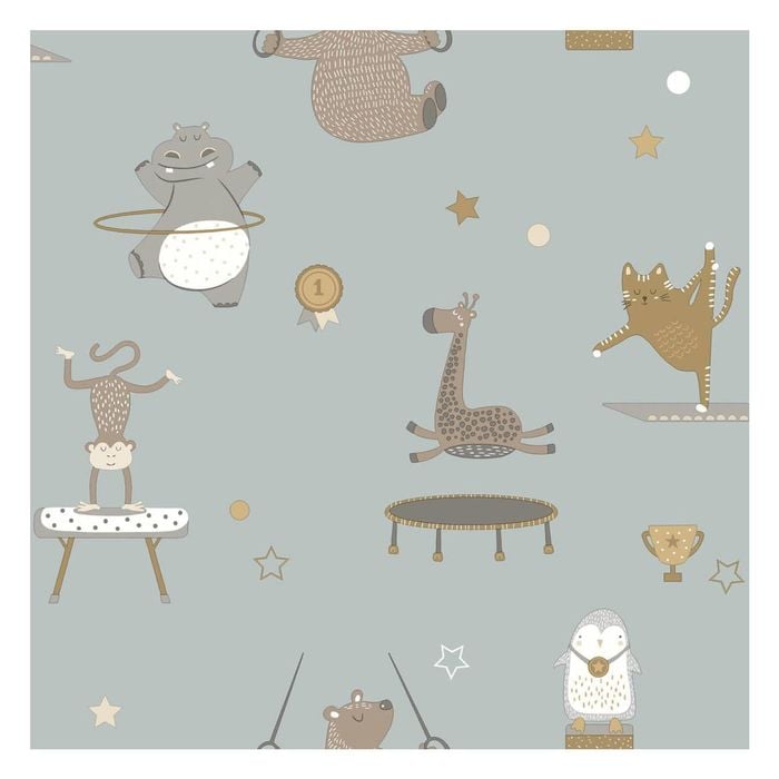 Animal Gymnastics Blue Wallpaper  53cm x 10.05m