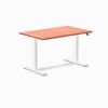 Desky Dual Softwood Sit Stand Desk White Frame 120cm