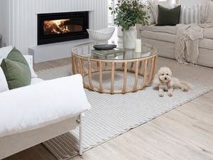Living space with white furniture, white walls, dog sitting down on a rug and a fireplace.