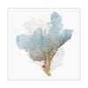 Artey | Delicate Coral III - Stretched Canvas - Stretched Canvas - 50 x 50cm