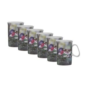 6x Ashdene Aus Small Birds Drinking Mug Cup Pink Robin Animal Photography