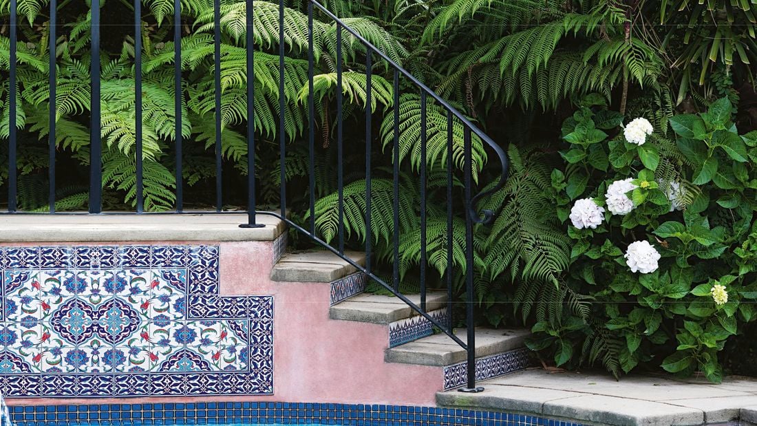 Outdoor deck surround by native plants