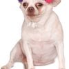 Rubies Paw Print Girl Pet Birthday Hat Dog/Pet Fancy Dress Up Costume Size M-L