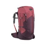Trek 100 Easyfit Mountain Trekking Backpack 50L - Deep Chocolate Truffle