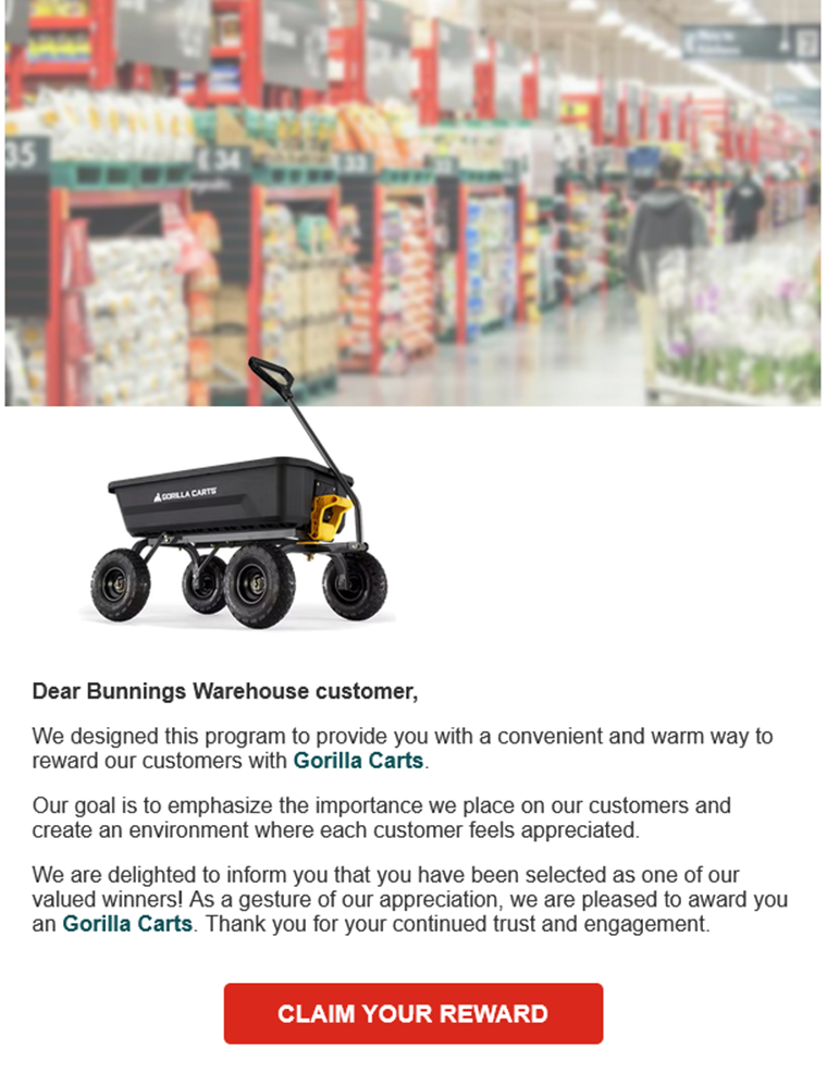 <p>Web scam warning 1</p>