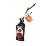 Bagged Bush Rose - Rosa