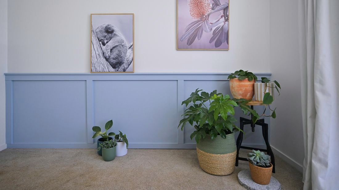 Wainscotting wall with green decorative pot plant holders
