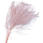 Blooms Of Joy 55cm Pink Tiki Fern Foliage