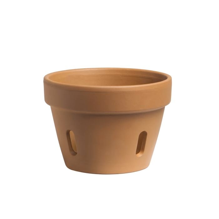 Northcote Pottery 15cm Italian Terracotta Orchid Pot - 150mm