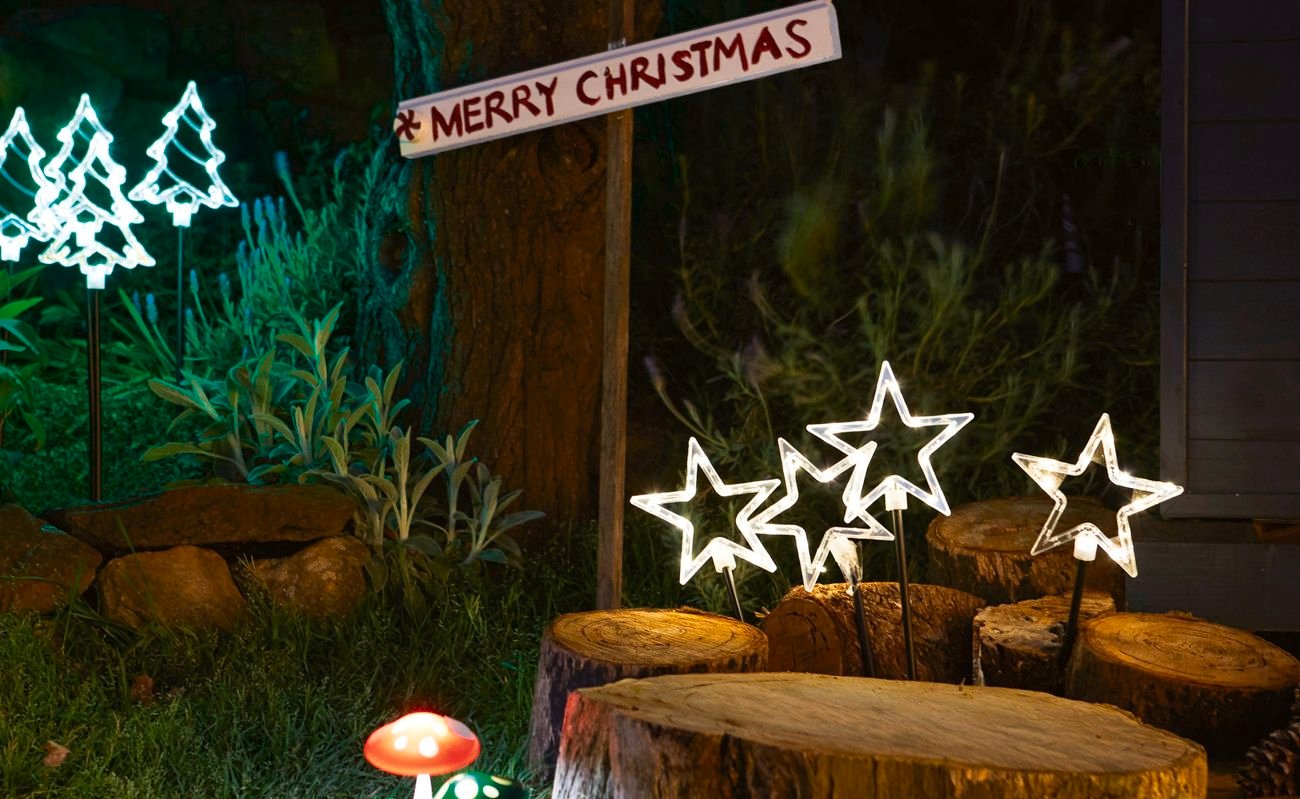 Illuminated toadstools, stars and Christmas tree stake lights in a backyard at night