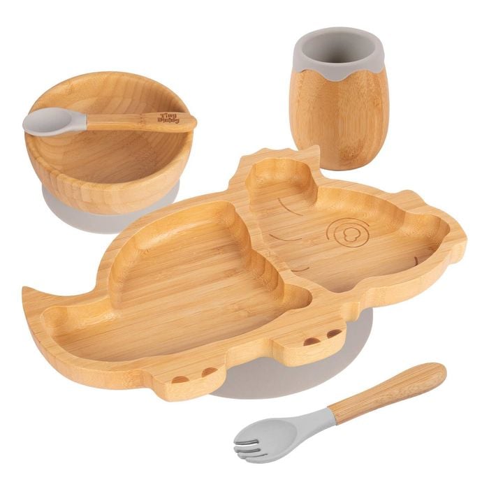 5pc Bamboo Dinosaur Baby Weaning Set