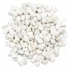 Tuscan Path 10-15mm 10kg Snow White Quartz Pebbles