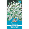 Mr Fothergill's Gypsophila Monarch White Flower Seeds