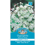 Mr Fothergill's Gypsophila Monarch White Flower Seeds