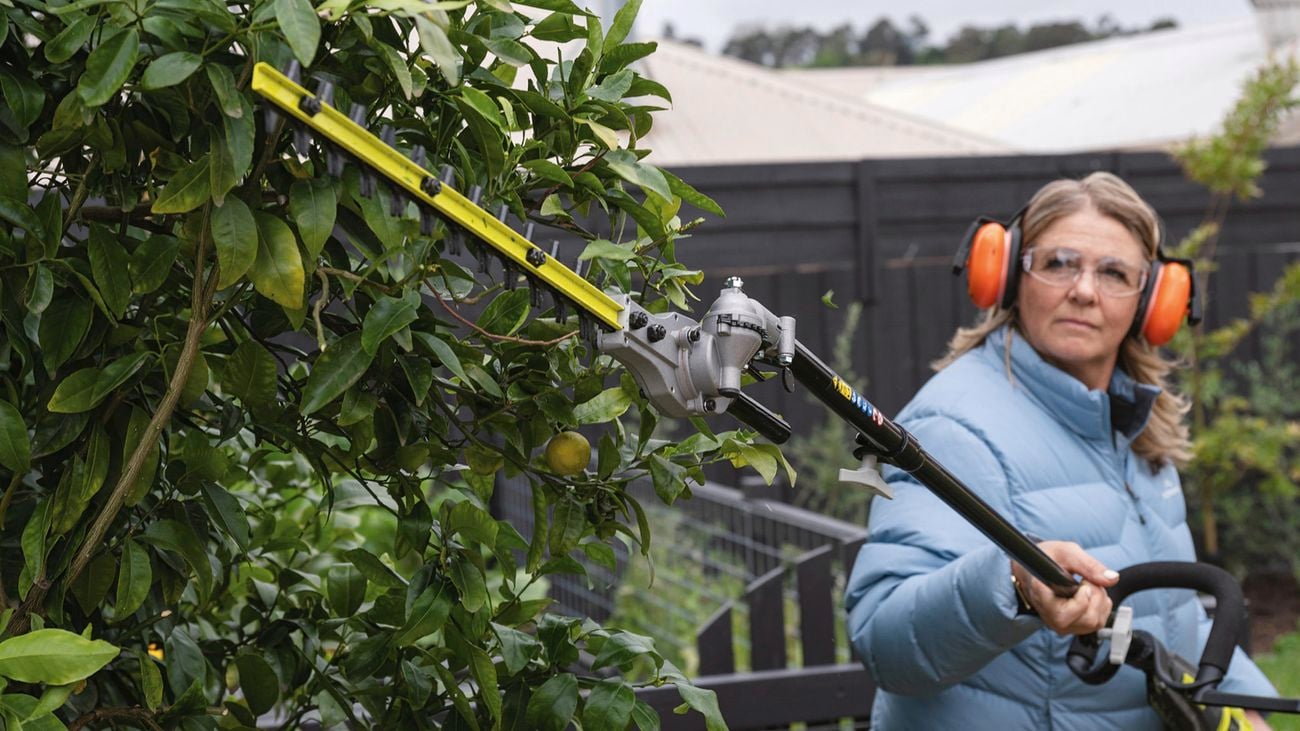 Person wearing PPE shaping tree with Ryobi pole hedge trimmer