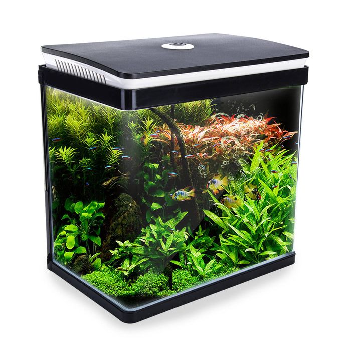 30L Curved Glass RGB LED Aquarium Fish Tank - Curved Glass(4mm) | All Water Types | Complete Aquarium Setup