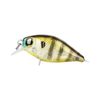 Pro Lure S36 Shallow Crankbait Hardbody Fishing Lure Brown Gill
