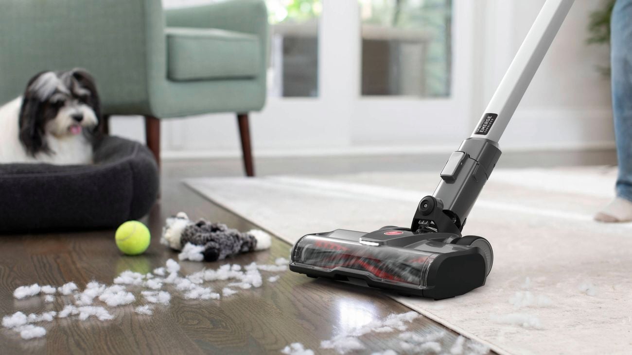 Vacuum Cleaner Buying Guide How To Choose The Best Vacuum Cleaner Bunnings Australia