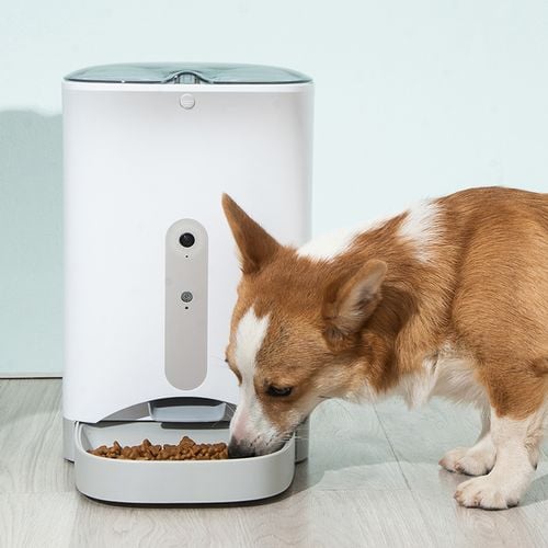 Smart Automatic Pet Dog Cat Rabbit Feeder Smartphone Camera APP for iPhone Android Bunnings Australia