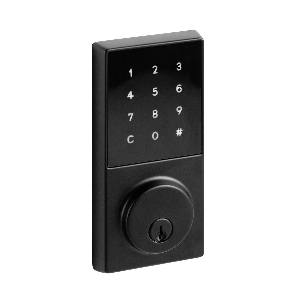 Delf Black Matte LED Touchscreen Digital 2 In 1 Deadbolt - Bunnings ...