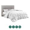 Zuni Microfiber Quilt 420gsm Duvet Doona Winter Summer Soft Quilt Queen
