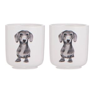 Ashdene Peeking Pups Dachshund Set of 2 Egg Cups