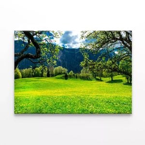 Sommerwiese with Mountains  Print 100% Australian Made 120 x 90cm  (Stretched)