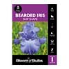 Bloomin' Bulbs Bearded Iris Ship Shape - 1 Pack