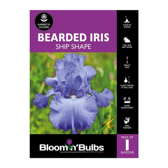 Bloomin' Bulbs Bearded Iris Ship Shape - 1 Pack