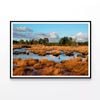 Wetlands in Evening Winter Sun  Print 100% Australian Made 90x60cm  (Poster)