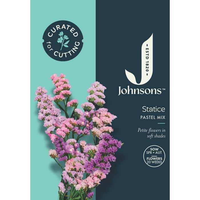 Johnsons Curated For Cutting Statice Pastel Mix