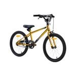 Avoca Luminous 50cm Bike Blaze