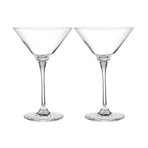 2pc Tempa Quinn Martini Glass